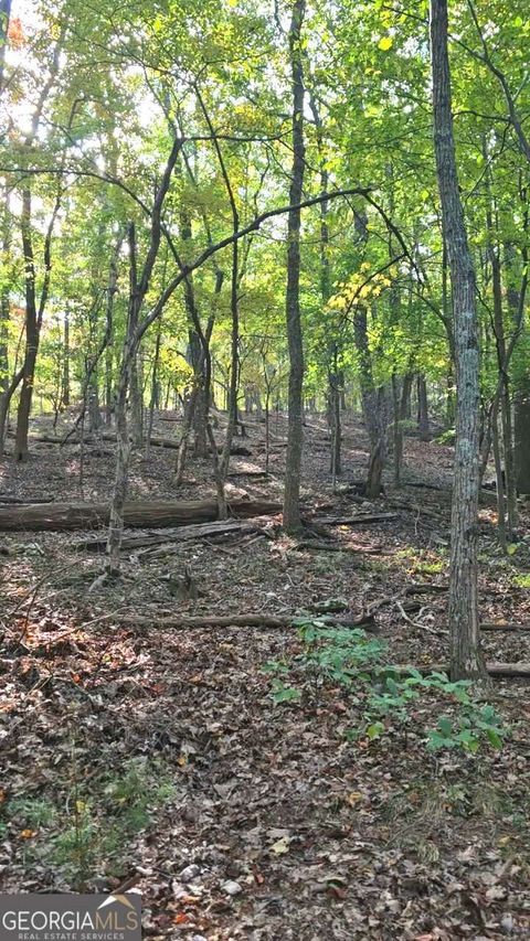 Photo of 315 Windflower Drive, Big Canoe, GA 30534 (MLS # 10649871)