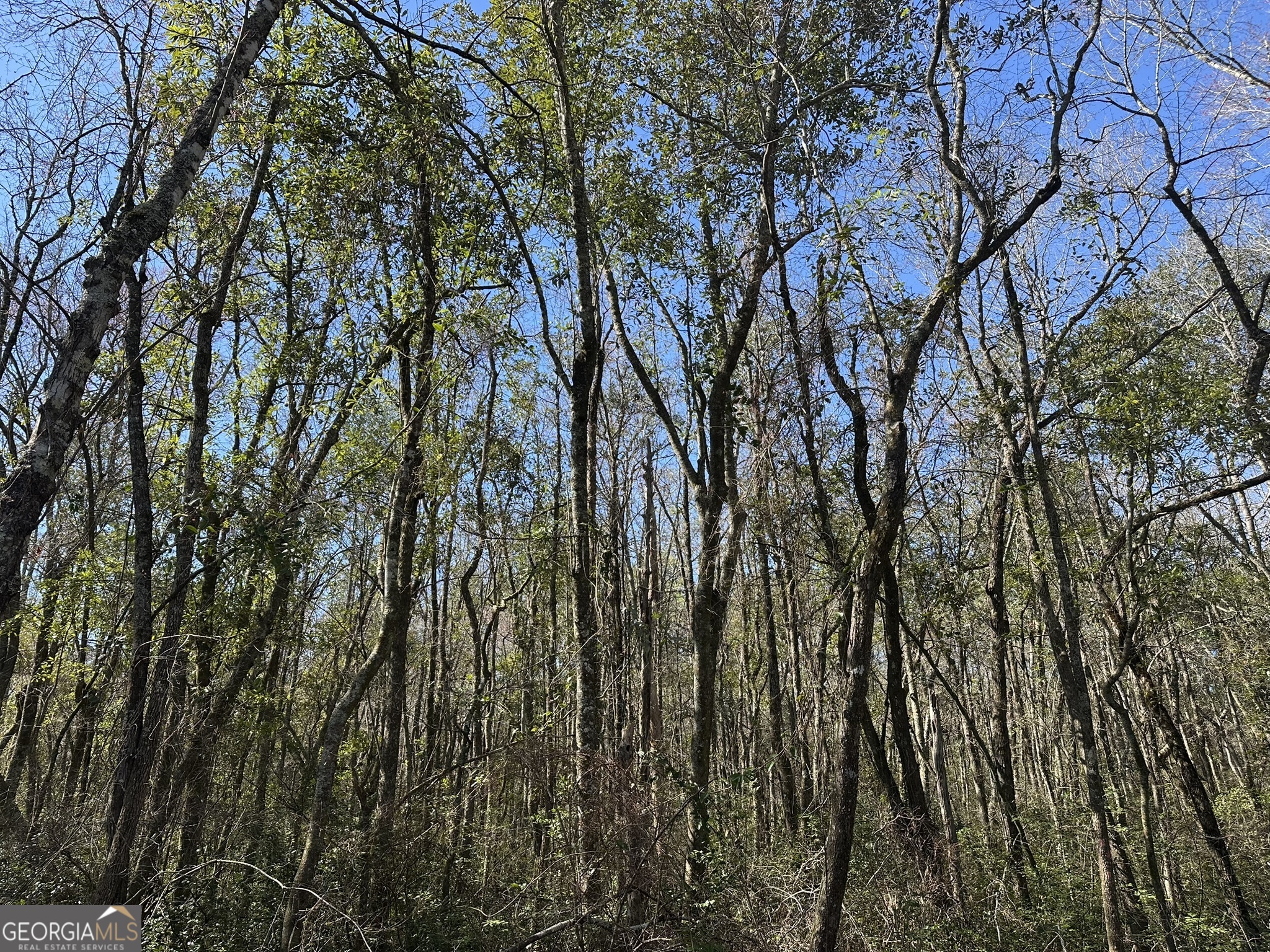 004 Mt Sinai church RD