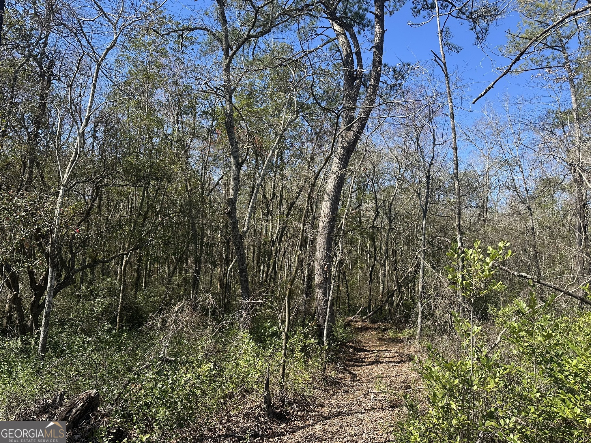 004 Mt Sinai church RD