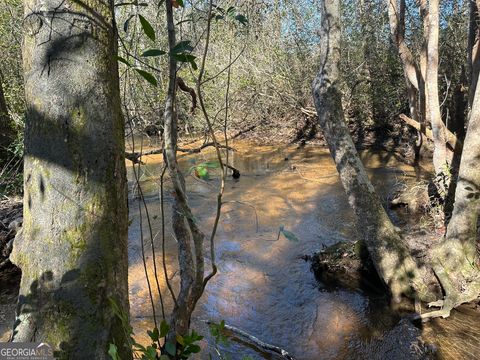 004 Mt Sinai church RD Butler GA 31006