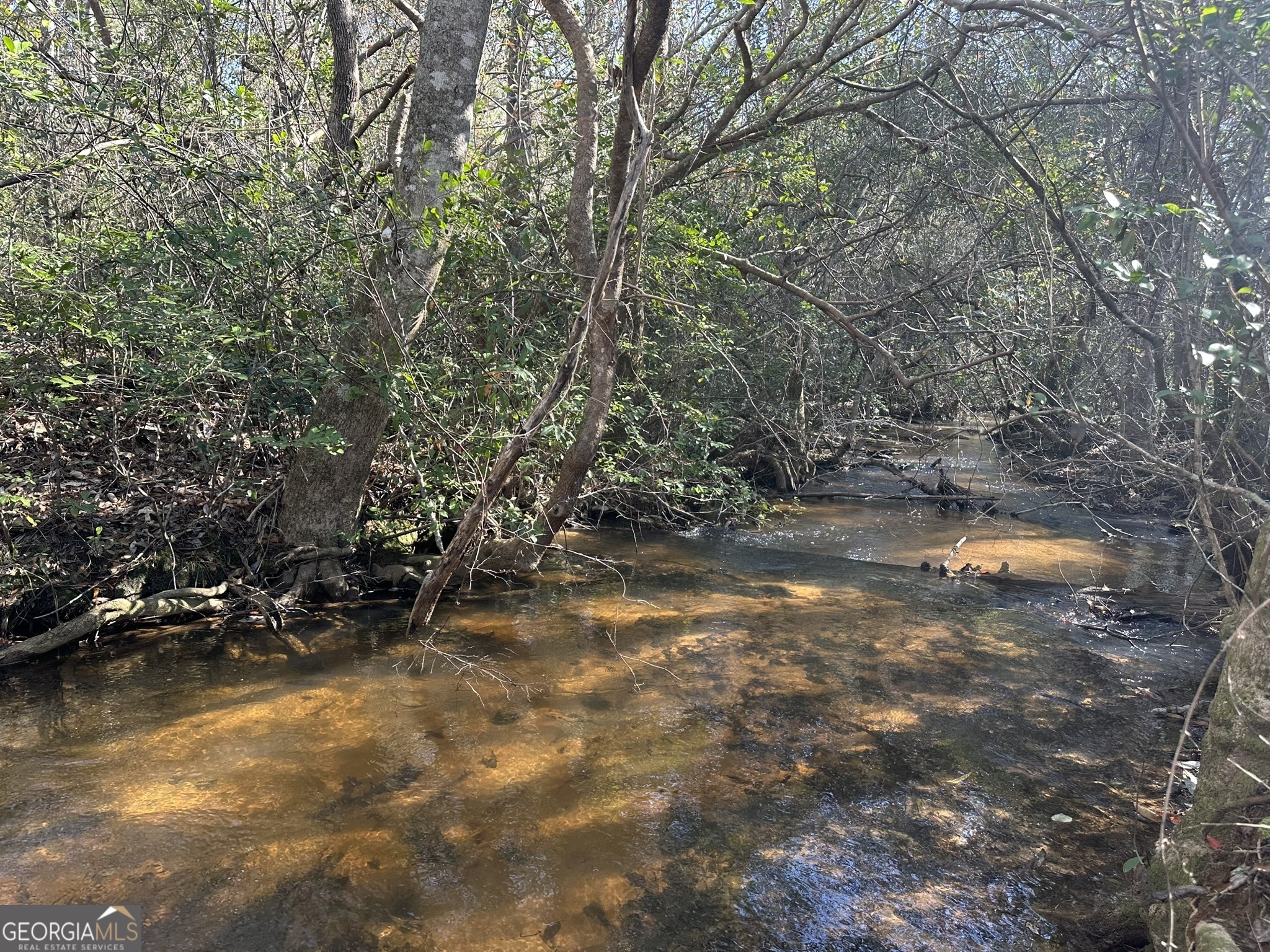 004 Mt Sinai church RD