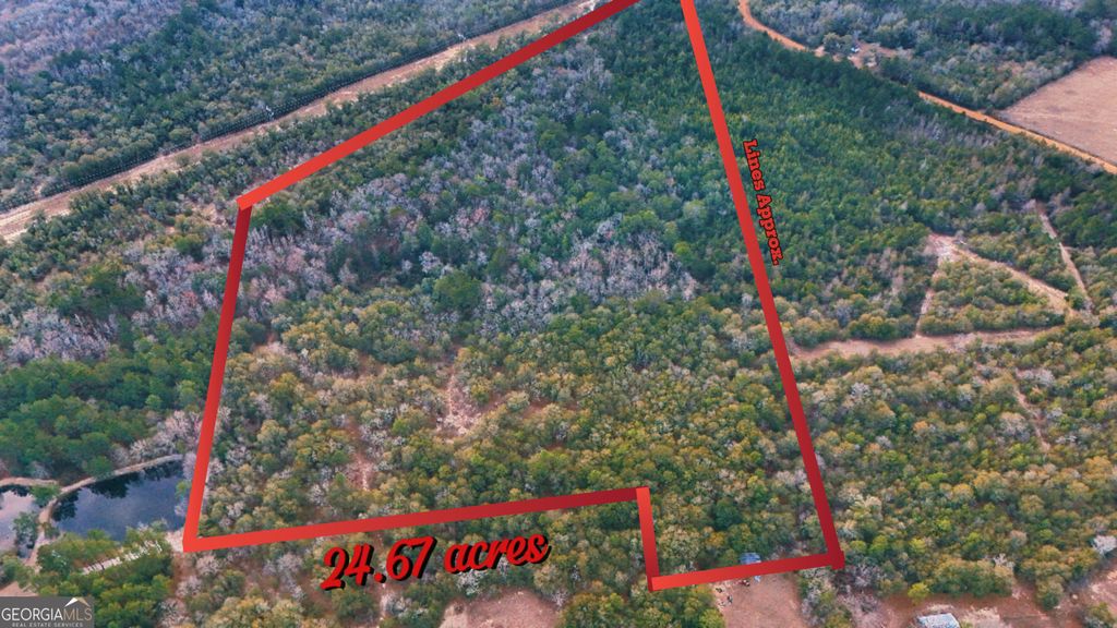 Photo of 0 Lovely Grove Church Road, Eastman, GA 31023 (MLS # 10689898)