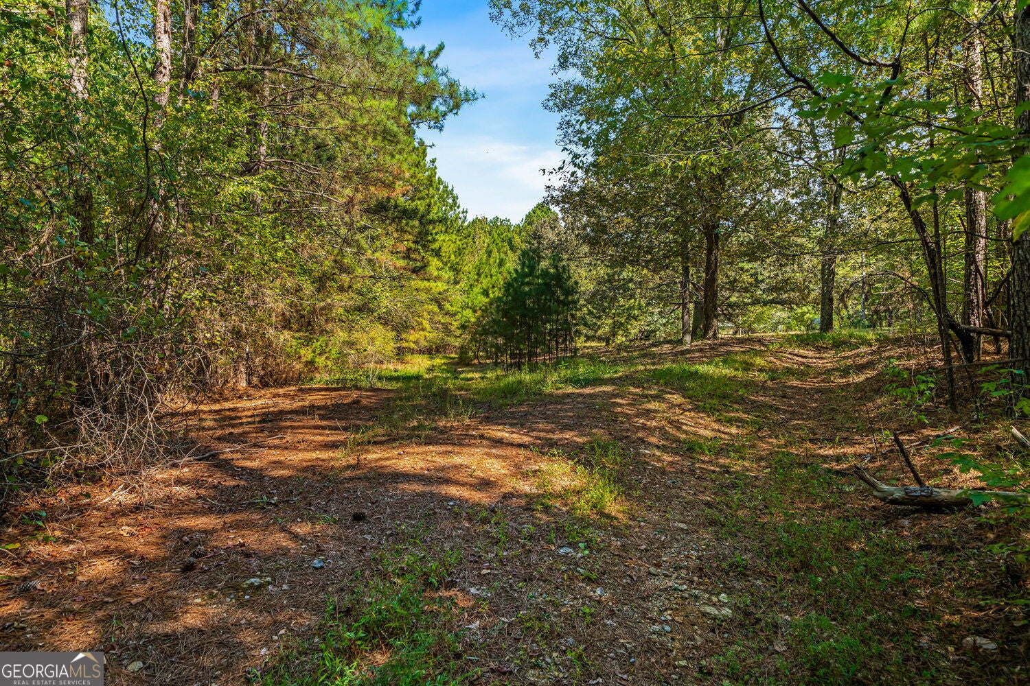 3249 Wax RD SE