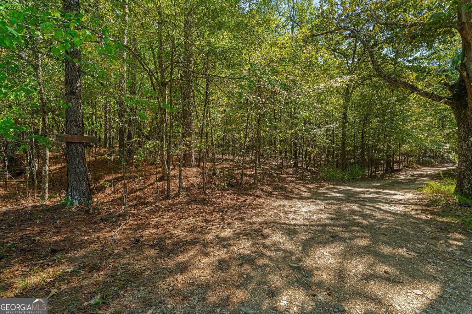 3249 Wax RD SE