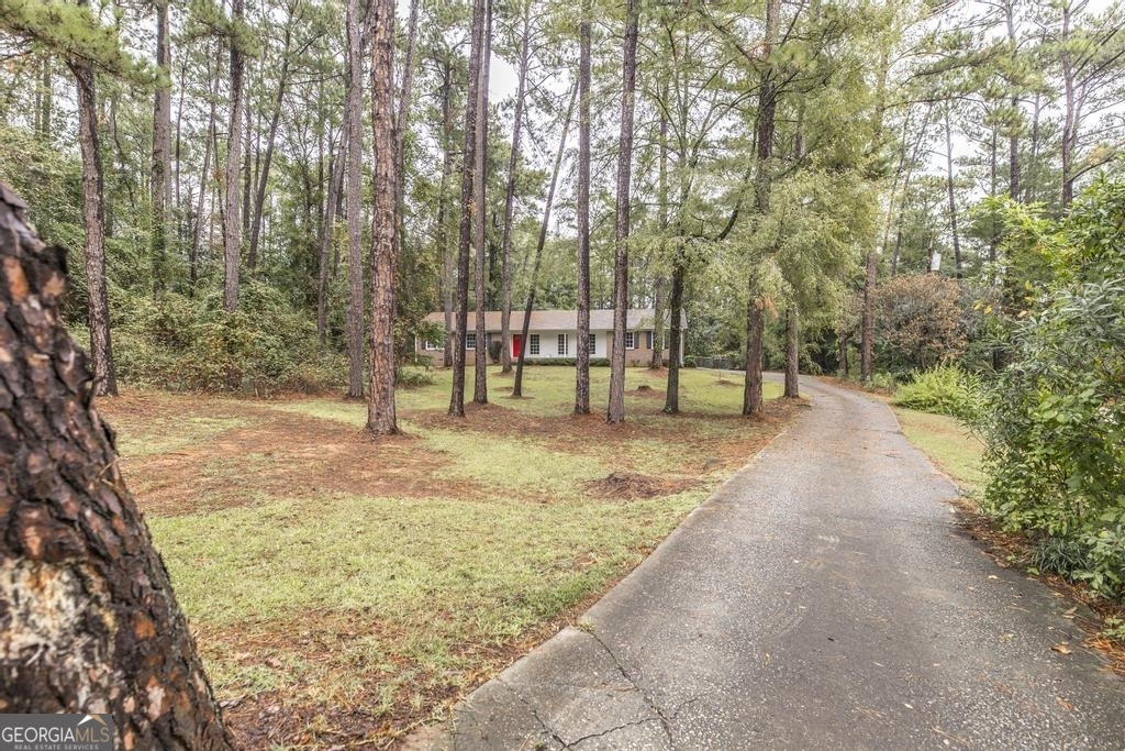 OH MY! The space you will find in this gorgeous brick ranch home is amazing! Located in North Macon this home has been updated and is situated on 1.48 acres. You will enjoy the huge living/dining area open to the kitchen with granite countertops and a FULL appliance package to include washer and dryer! 4 bedrooms for the growing family, secondary living area to use as a game room, library, playroom, whatever you need it to be. The large screened patio offers a great place for entertaining overlooking the backyard. The backyard is an oasis and offers tons of fruit trees, peach, pear, plum and fig! Let's not forget the blackberry bushes, blueberry bushes and some grape vines. But the best part is the large chicken coop!!! Don't miss this opportunity to Come Home to this North Macon retreat.
