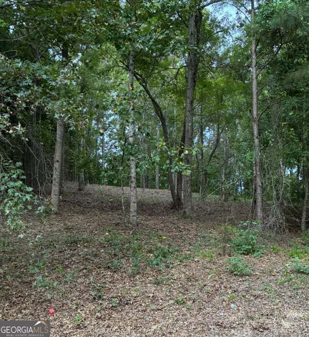 Photo of 126 Big Cotton Trail, McDonough, GA 30252 (MLS # 10854701)