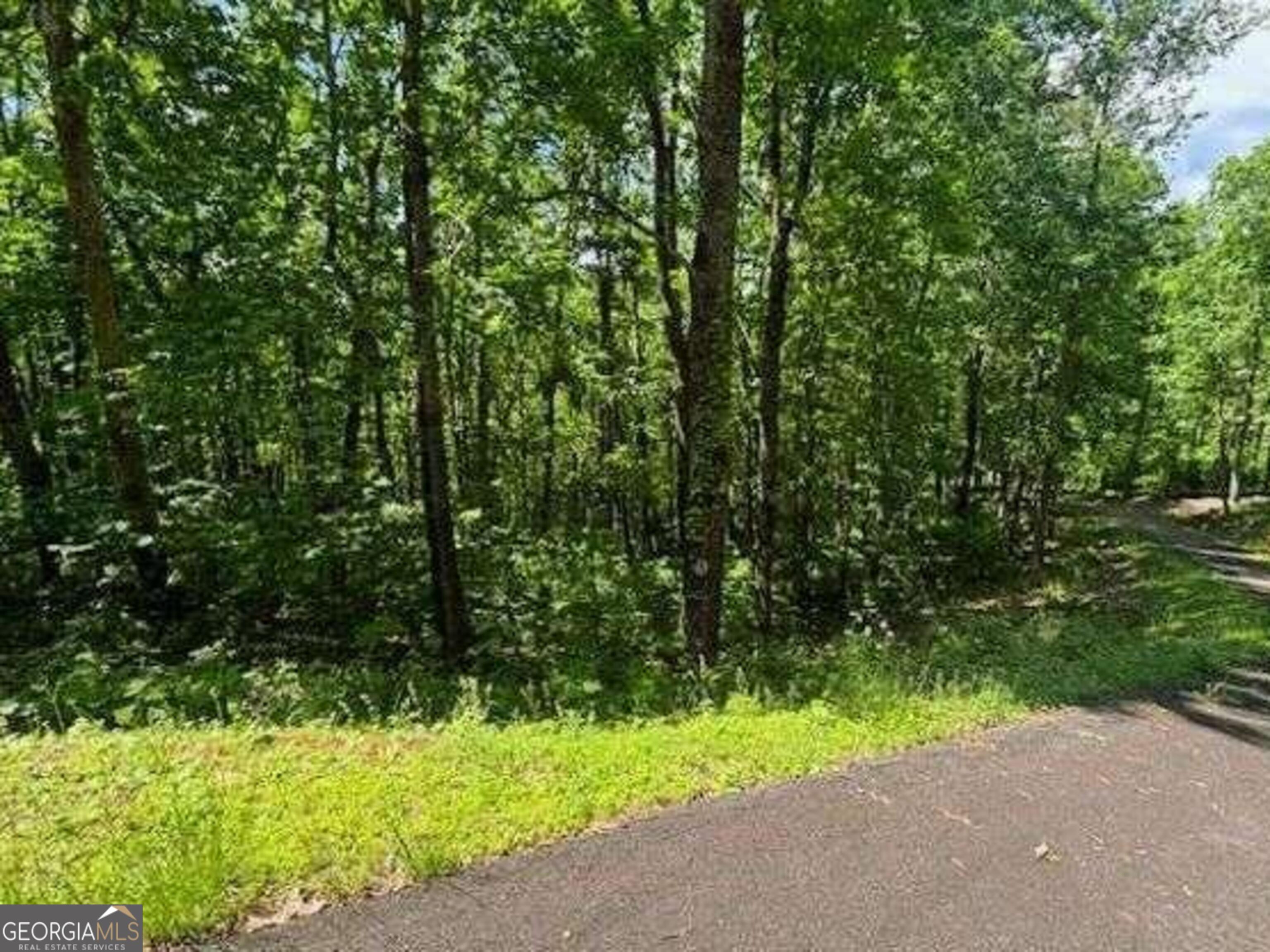 Priced to Sell. Corner lot with gentle slope in Rocky Knob Community of Young Harris. 1.31 wooded acres with nice building site. Lot is wooded but potential long-range mountain views with clearing. Lot looks over Brasstown Valley Resort. Power in place. Serviced by Public Water. Paved roads throughout. Gated community. Community viewing area with firepit, deck and views that look back over Young Harris College and the city of Young Harris.