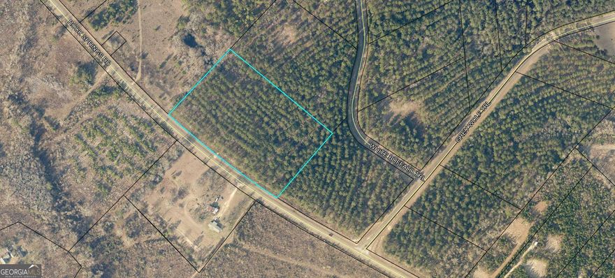 Parcel ID:  207 008 VV  - ROCK SPRINGS ROAD | LAURENS COUNTY  Beautiful 4.45 Acre lot for sale in Rock Springs Subdivision.  Excellent location with Rock Springs Road frontage paved road.  Very quiet area and close enough to Dublin, Georgia.  Close to Oconee River with private access to the neighborhood Boat Ramp.      This is Lot 12A we also have Lot 12B (4.45 Acres) for sale as well.