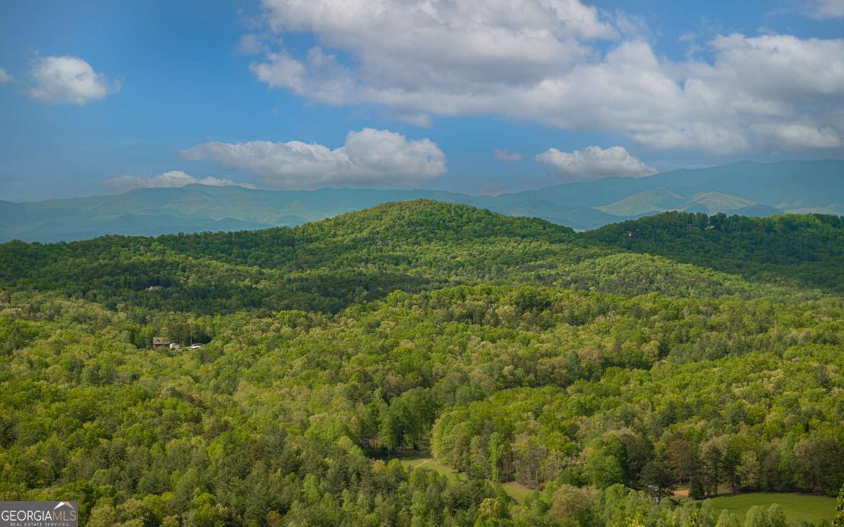 LOT 25 Scouts Overlook