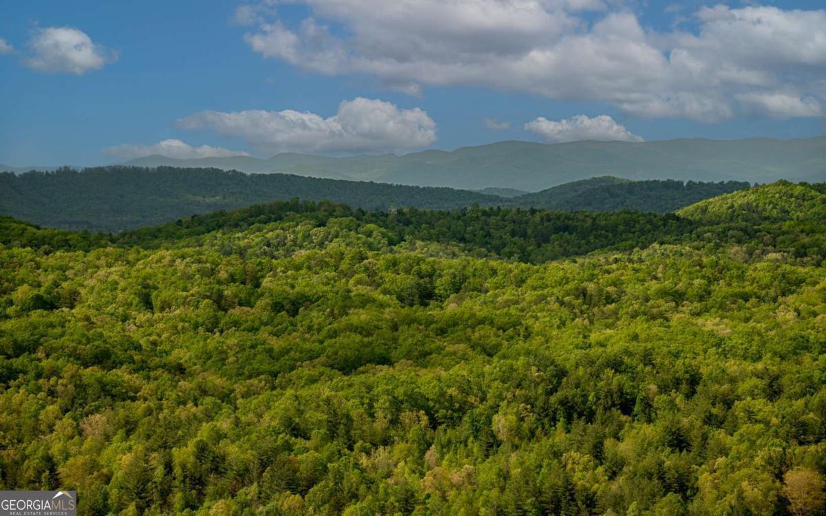 LOT 25 Scouts Overlook