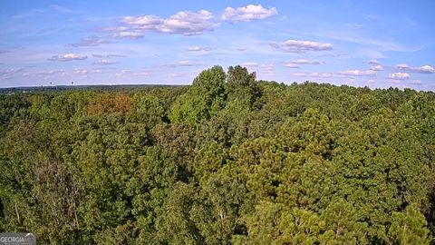 0 High Falls RD Jackson GA 30233