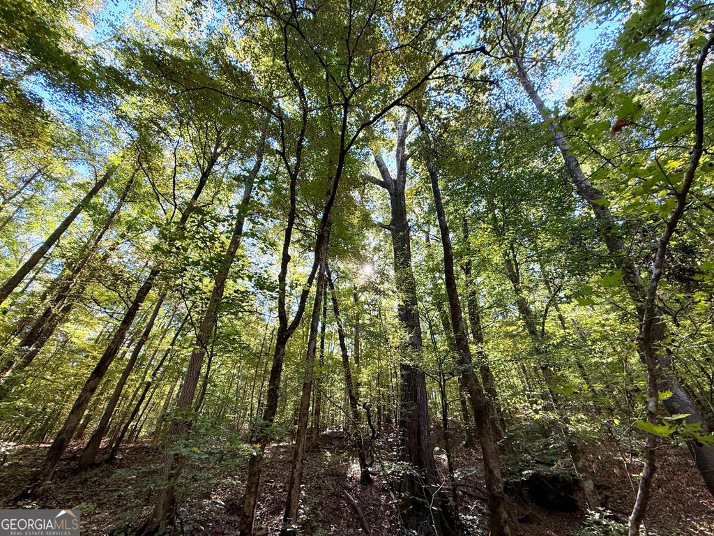 Photo of 3355 SR 42 N, Forsyth, GA 31029 (MLS # 10631354)