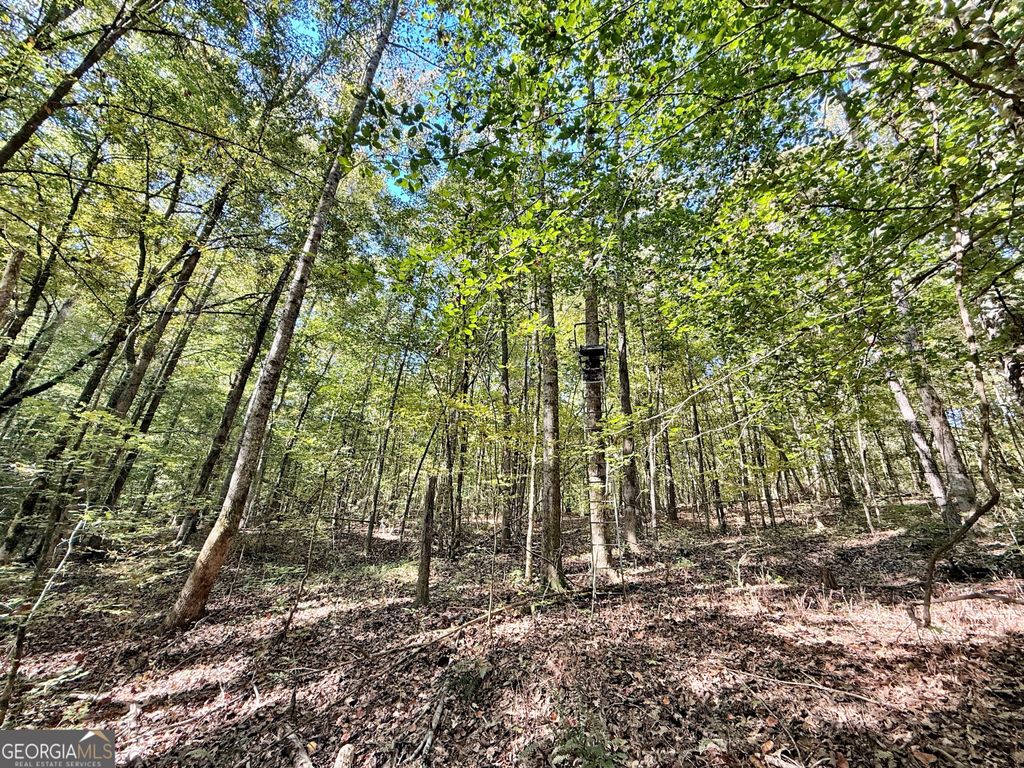 Photo of 3355 SR 42 N, Forsyth, GA 31029 (MLS # 10631354)