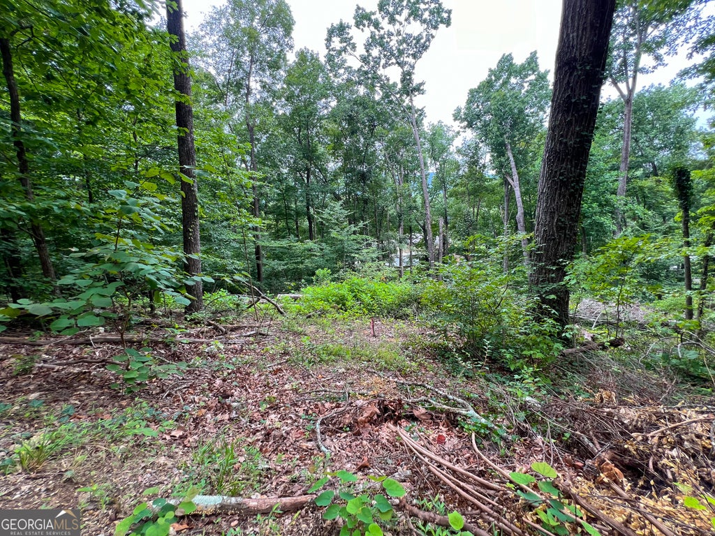 Photo of 00 Shannon Drive, dalton, GA 30720 (MLS # 10789943)
