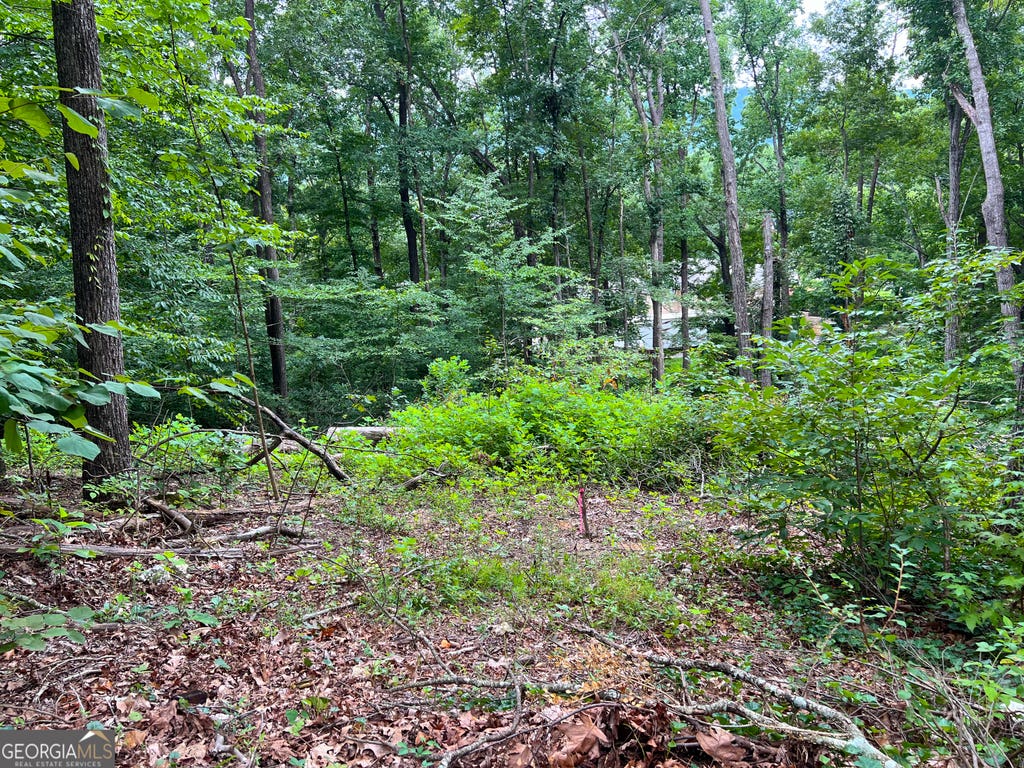 Photo of 00 Shannon Drive, dalton, GA 30720 (MLS # 10789943)