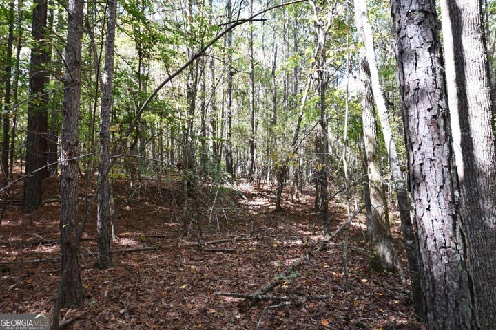 Photo 1 of 71 — 00001 Poplar Springs RD, Buchanan, GA 30113