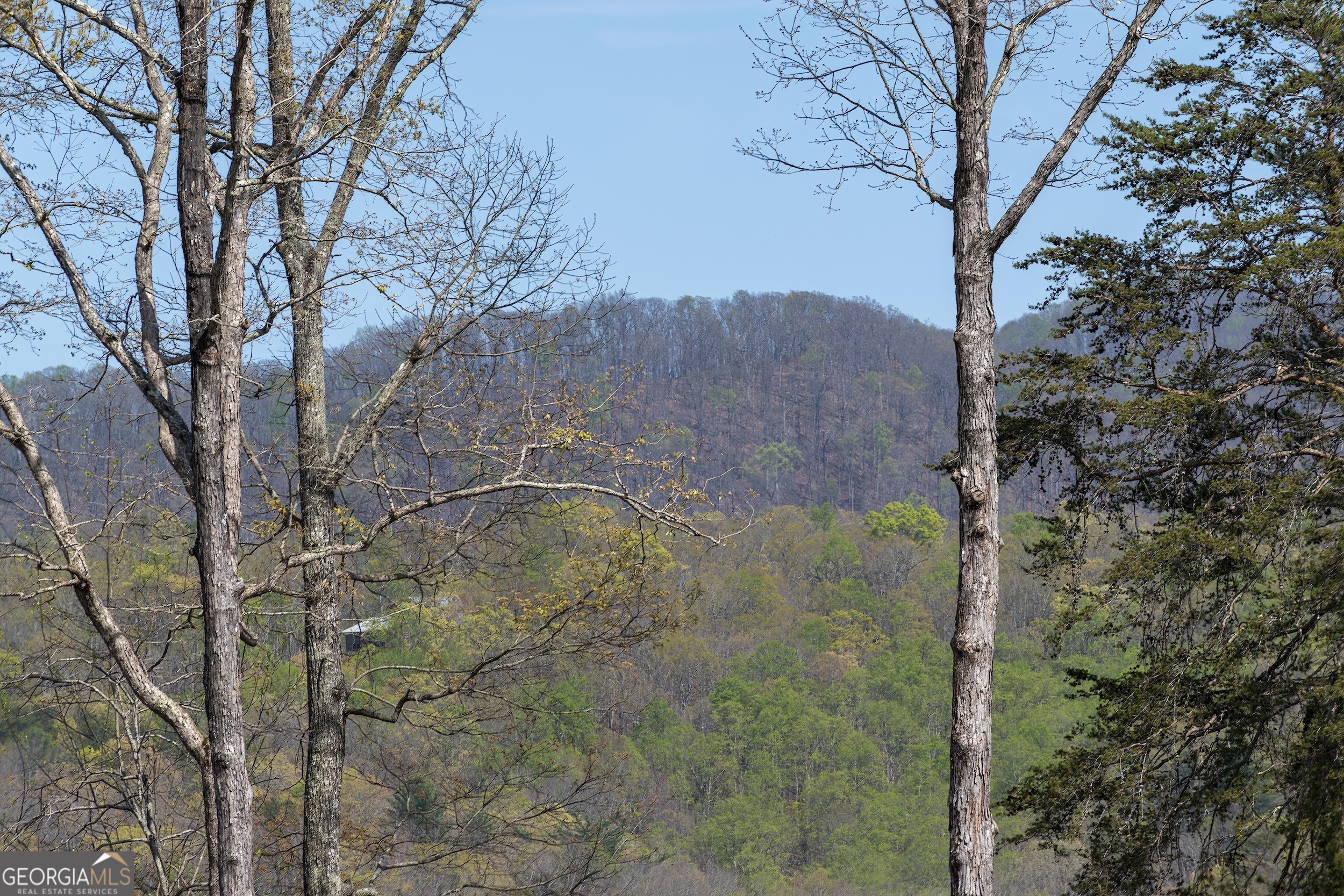 554 Tipton Springs RD