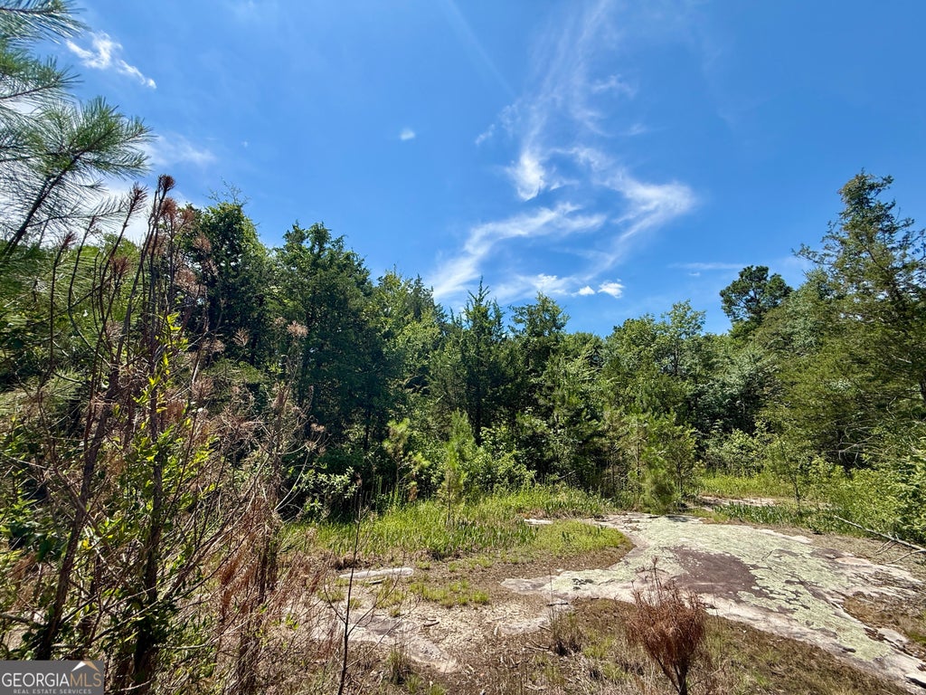 Photo of 1421 NW Irwin Bridge Road, Conyers, GA 30012 (MLS # 10795649)