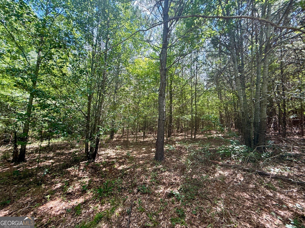 Photo of 1421 NW Irwin Bridge Road, Conyers, GA 30012 (MLS # 10795649)