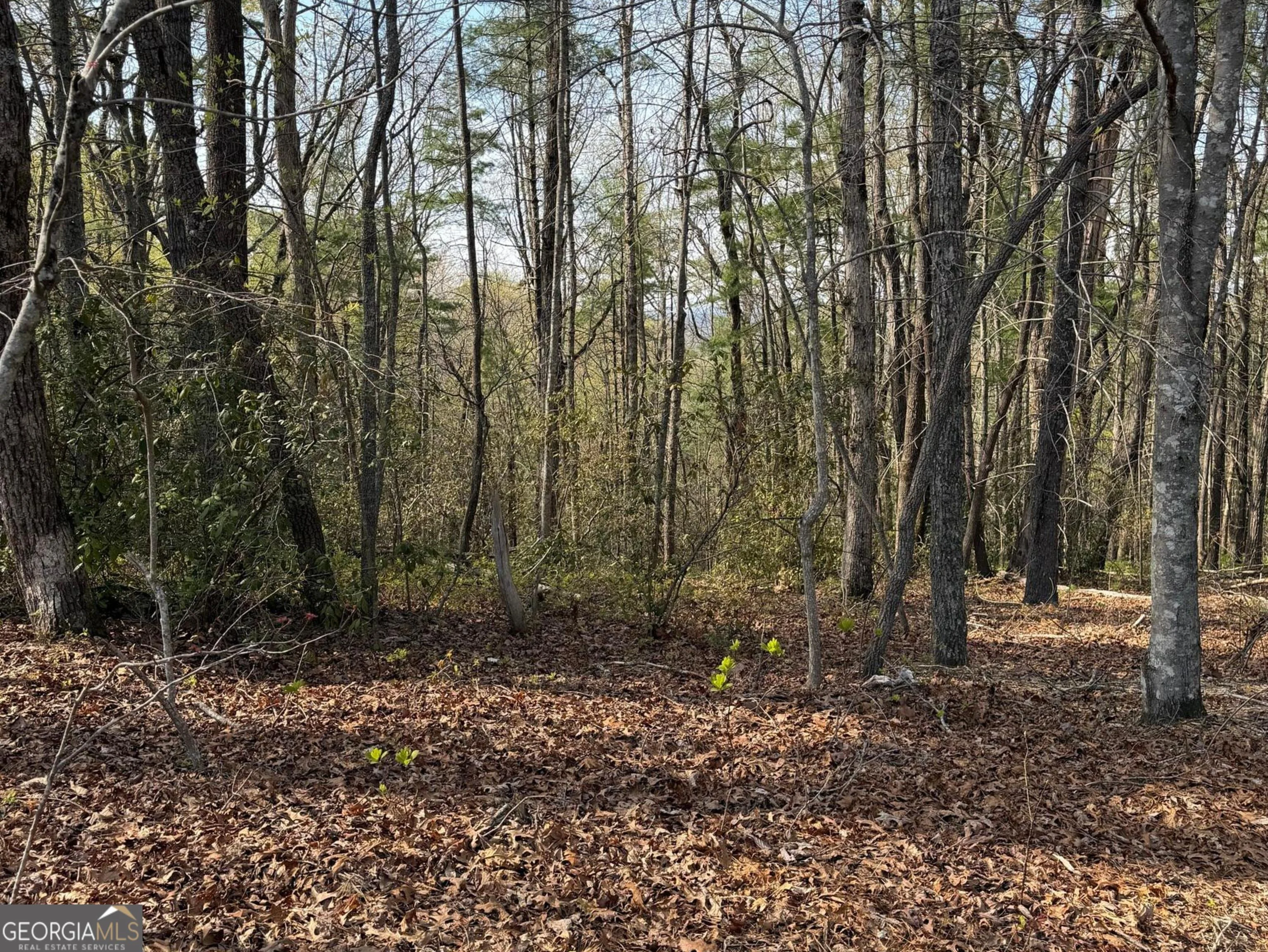 552 Long Laurel Ridge 6.65 Acres Unit LOT 2