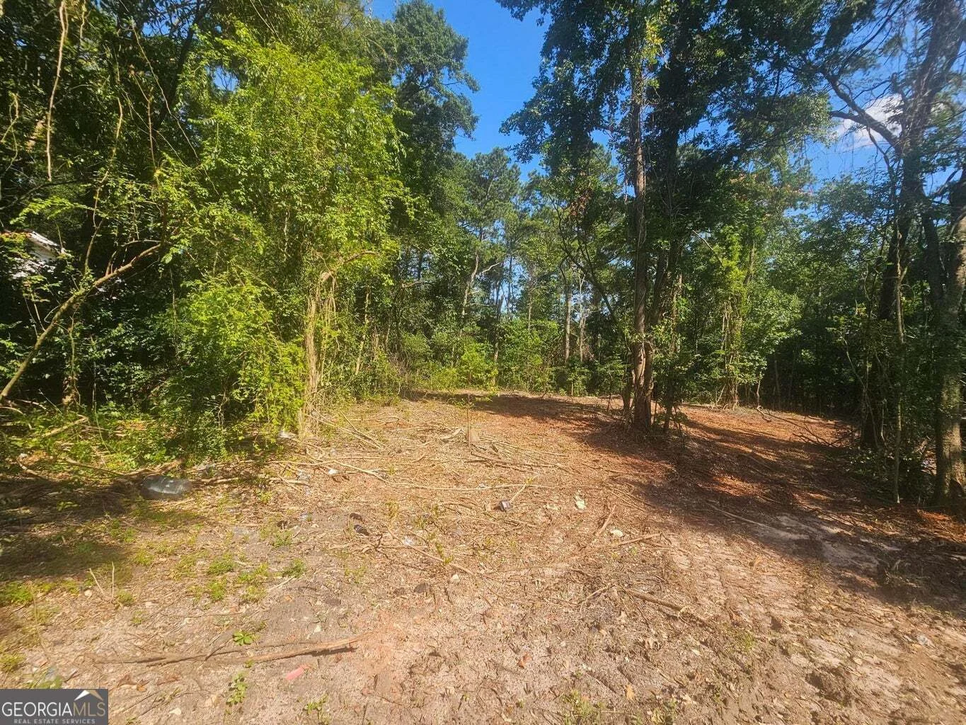 470 Forrest Drive, Louisville, GA, 30434