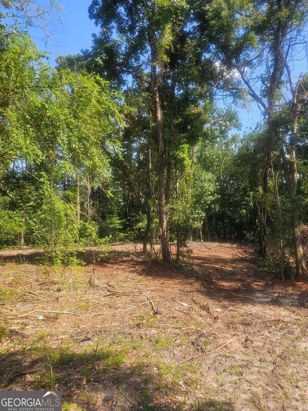 Photo of 470 Forrest Drive, Louisville, GA 30434 (MLS # 10659207)