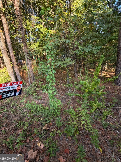 Photo for LOT 20 Charleston DR