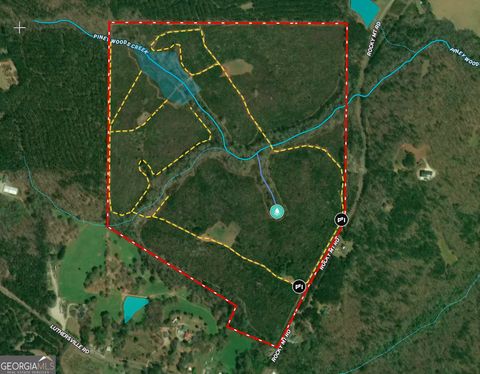 Photo of 178235 Rocky Mount Road, Luthersville, GA 30251 (MLS # 10674104)