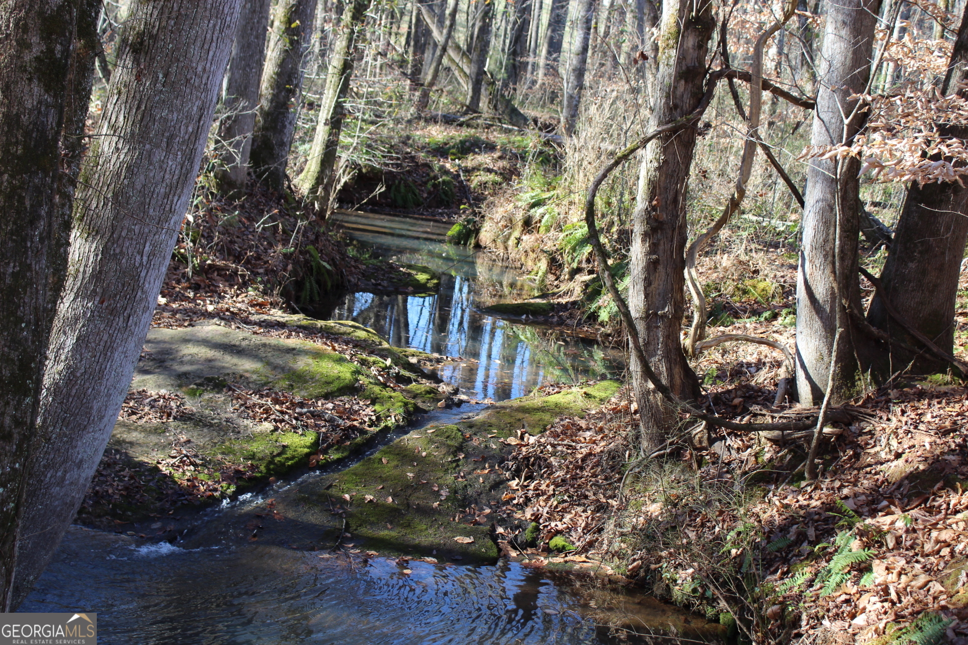 178.235 AC Rocky Mount RD