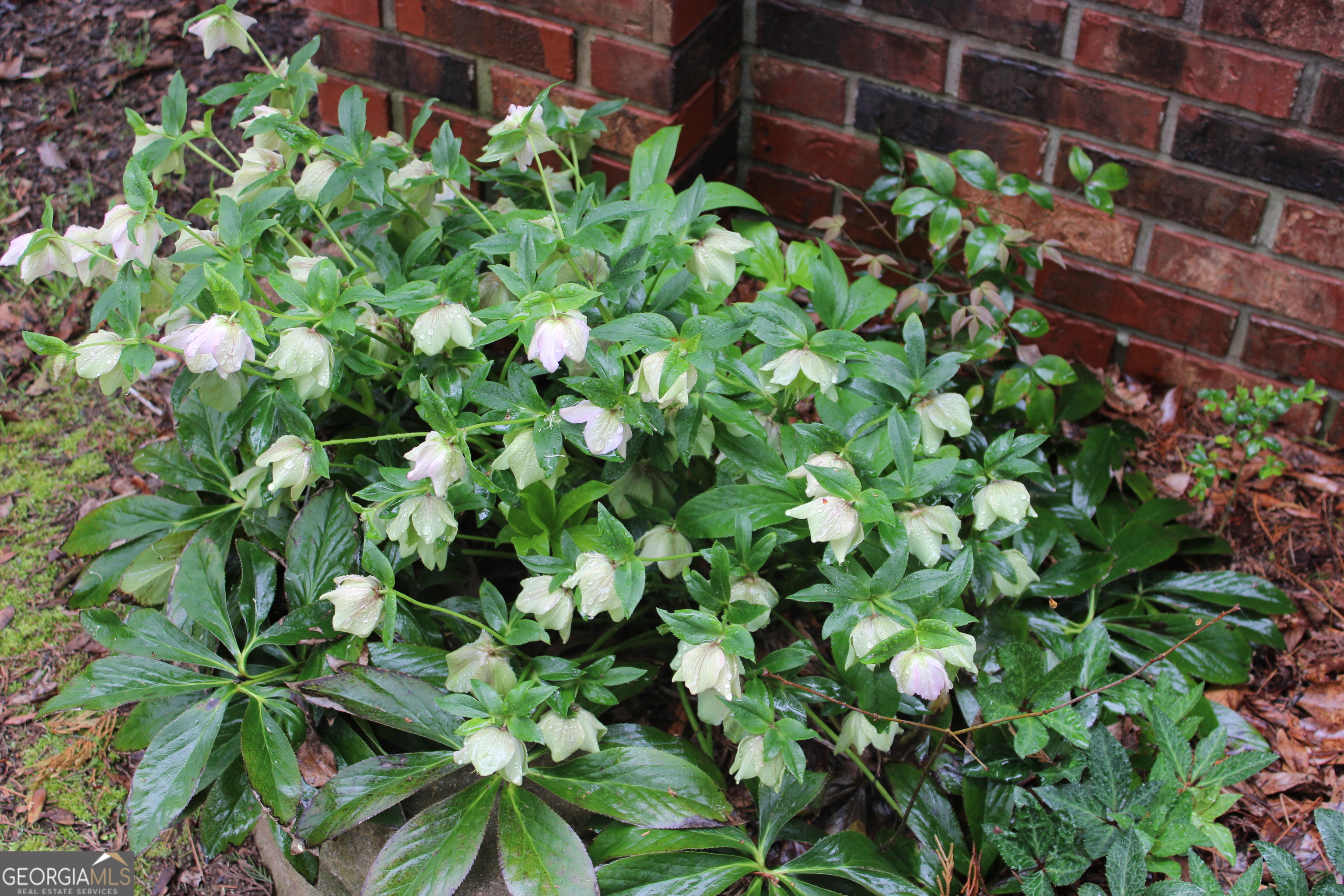 1150 Harris Hollis LN