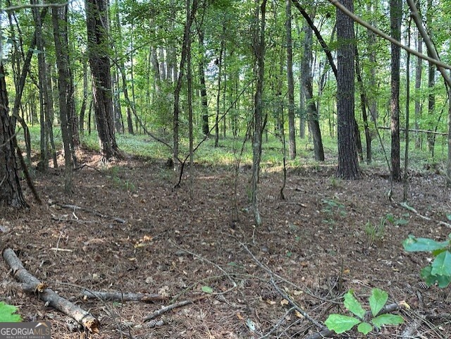 Wooded lot near the lake-Perfect for your dream home. Discover your own private retreat with this beautiful wooded lot located minutes from Lake Sinclair. Enjoy the serenity of the outdoors while still being close to boating, fishing, swimming and other lake activities. Build your home or bring in a manufactured home. Don't miss out on this one!