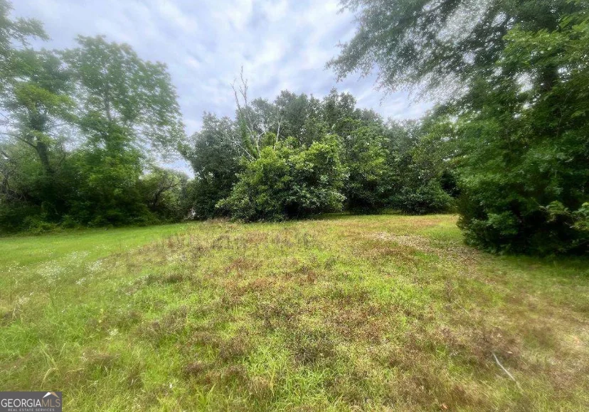 1318 E Roosevelt Avenue, Albany, GA, 31705