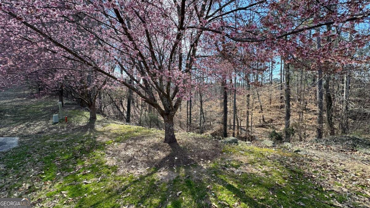 5209 Prestley Crossing LN