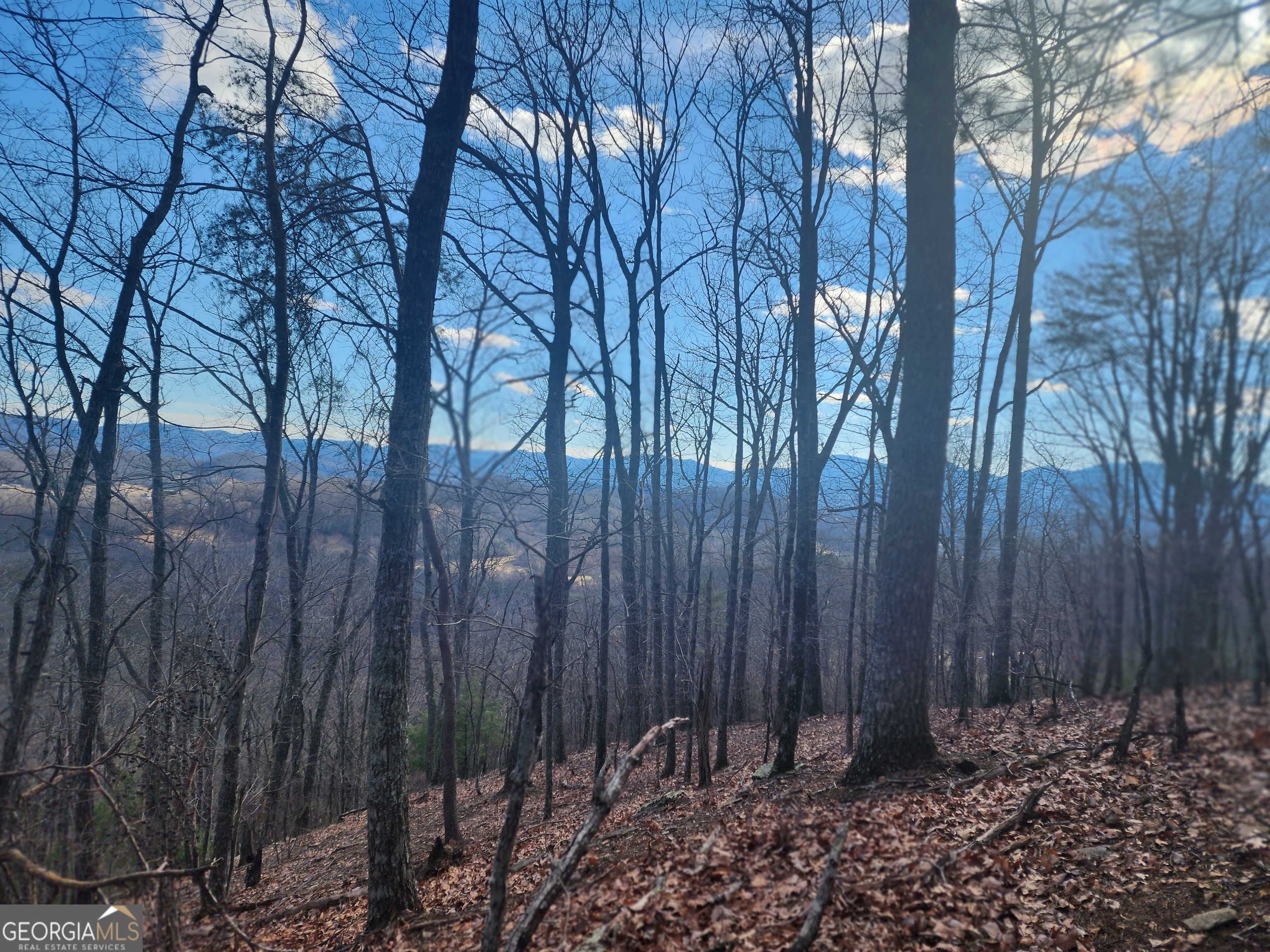 MOTIVATED SELLER - Build Your Mountain Dream Home with an Absolute Gorgeous View! 14.4 acres in Blairsville ready for you to make it your own secluded hideaway! This perfectly private land lot backs up to a National Forest and has National Park Trails right on the property line! This land is perfect for those seeking a peaceful escape or dreaming of a family compound! With Breath taking Views and Peace and Privacy, this is the perfect Oasis you have been looking for to escape the rest of the world! Embrace the mountain lifestyle in this ideal setting for both relaxation and recreation. Call today for more information!