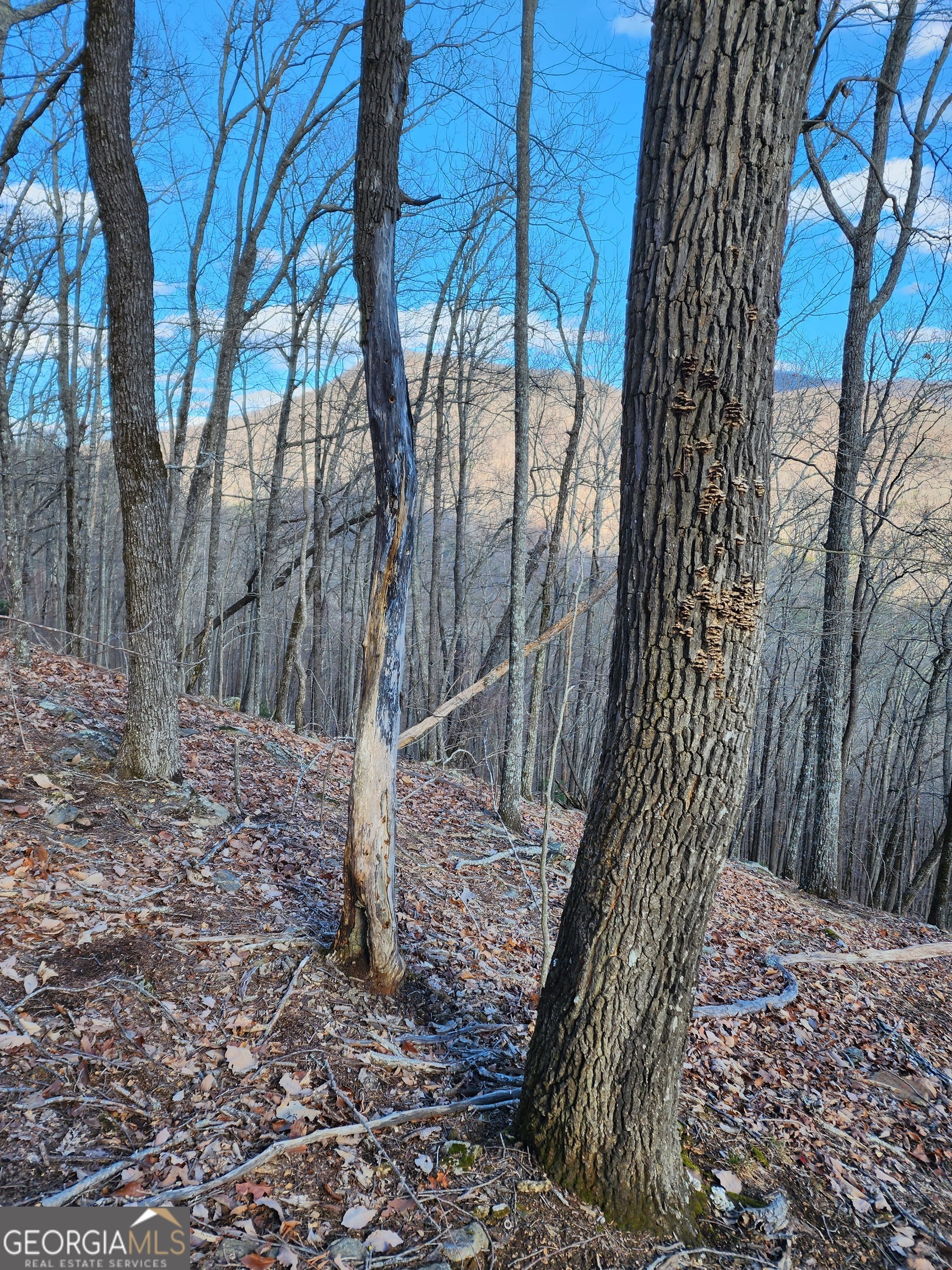 0 Trackrock Gap RD