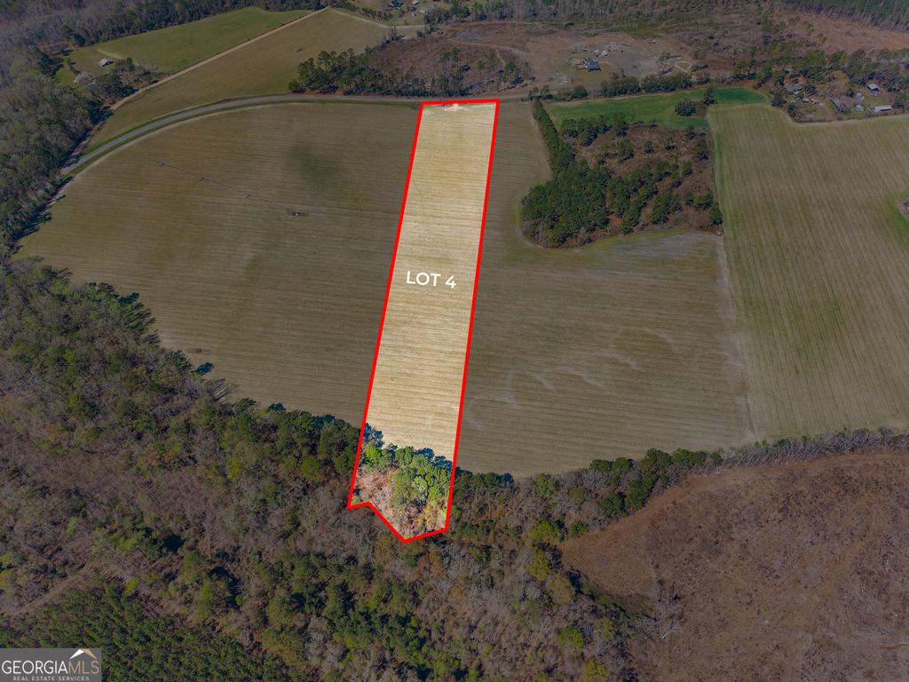 Photo of 0 Stilson Leefield Rd Lot 4, Brooklet, GA 30415 (MLS # 10717744)