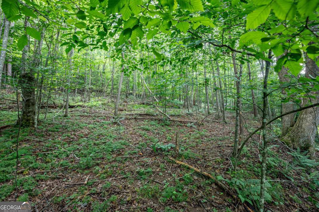 Discover the perfect blend of natural beauty and build potential on this 1.78-acre lot in the desirable Bryant Cove community, just minutes from Blairsville. Mostly wooded with a gentle slope, the property offers a peaceful, private setting with some mountain views and plenty of space to design a custom home with features like a walk-out basement or expansive porch. A year-round running creek-Bitter Creek-borders the back of the property along the dividing line, adding serene, natural charm. While the property is not classified as waterfront, the beautiful creek enhances the landscape and provides a tranquil backdrop. With paved road access and close proximity to both Blairsville and Young Harris, you'll enjoy the quiet of the mountains without sacrificing convenience. Opportunities to build in Bryant Cove are rare, making this a unique chance to own land in one of the area's most sought-after neighborhoods.