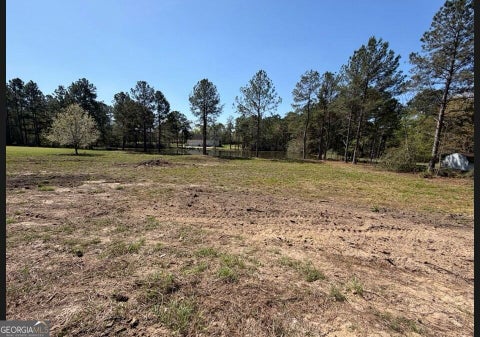 Photo of 38 Duck Drive, Tifton, GA 31793 (MLS # 10868775)