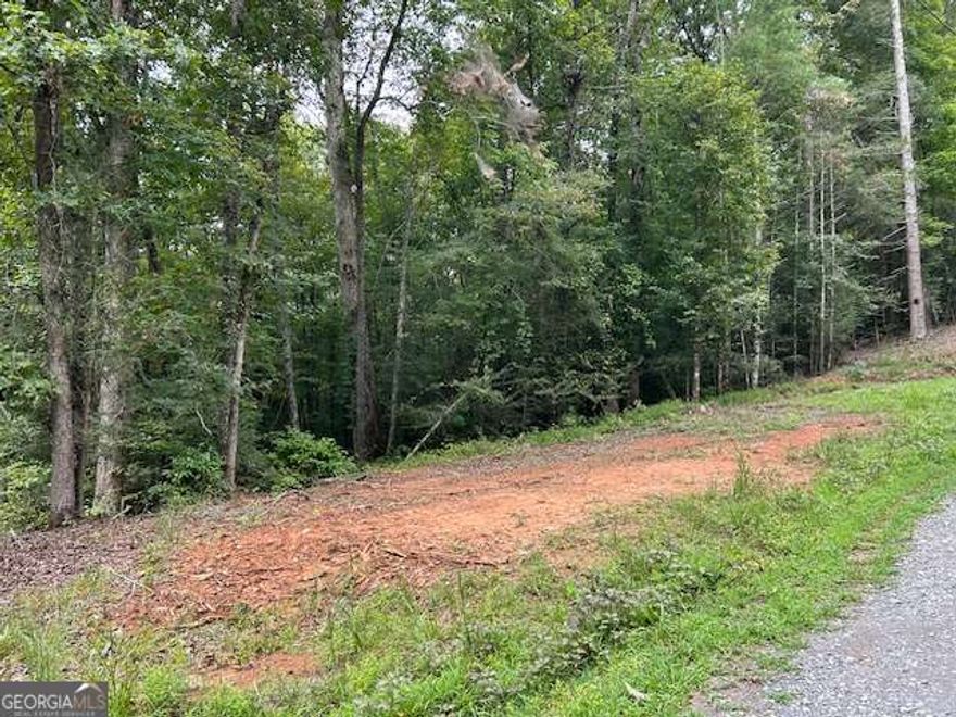 Build your dreams in Ellijay, Georgia on 0.95 acres in the resort community of Coosawattee River Resort. Keep to yourself or join in on all of the fun activities in the resort such as Pickleball, Tennis, Swimming, Tubing, Kayaking, Hiking, Concerts, Game nights, Physical fitness programs and more! Besides all of the beauty in the area there are so many things to do and see. Purchase this lot today and begin living.