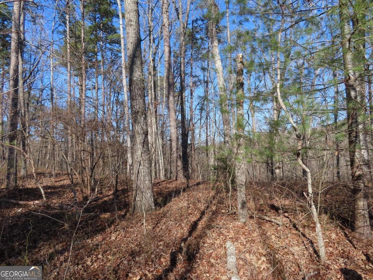 LOT 1906 Finale Street