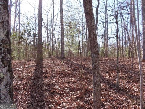 Photo of 1906 Finale Street, Talking Rock, GA 30175 (MLS # 10550081)