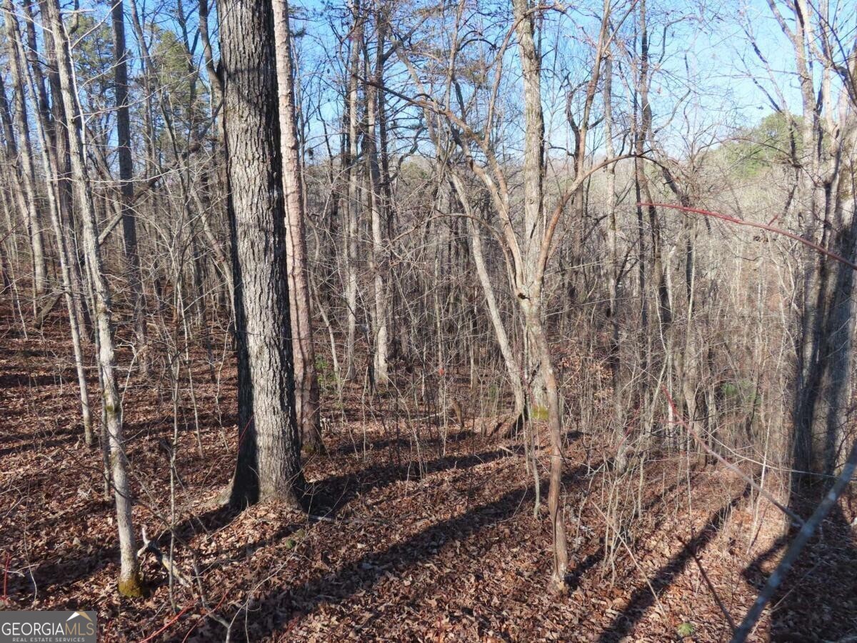 LOT 1906 Finale Street