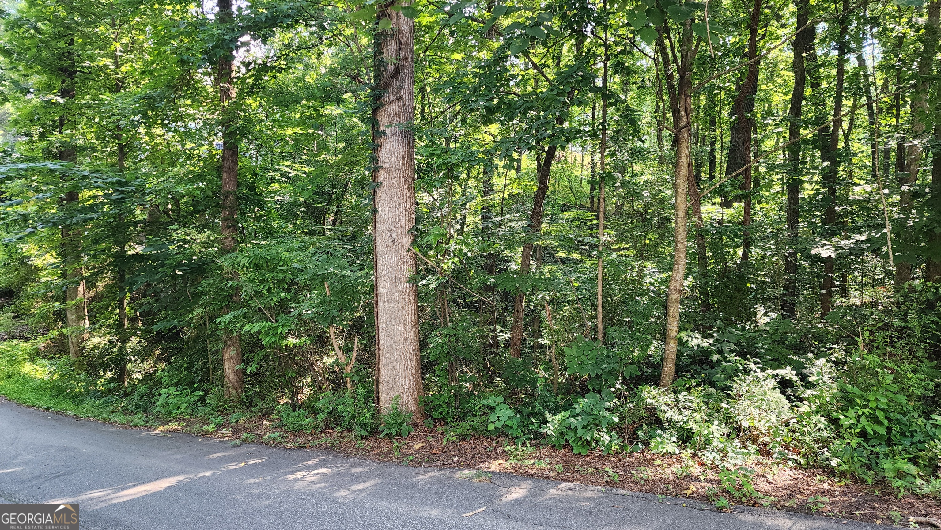 Discover the perfect blend of nature and convenience with this beautiful, wooded lot featuring a serene creek flowing through the property. Tucked away on a quiet street, this parcel offers privacy and peaceful surroundings, making it ideal for building a custom home, weekend retreat, or investment property. Enjoy the lush greenery, mature trees, and soothing sound of the nearby creek-creating an ideal backdrop for nature lovers and outdoor enthusiasts. The lot has road frontage with easy access to utilities nearby. A recent stake marker is visible on the property. Don't miss this opportunity to own a slice of nature just minutes from town amenities. Bring your vision and explore the possibilities!