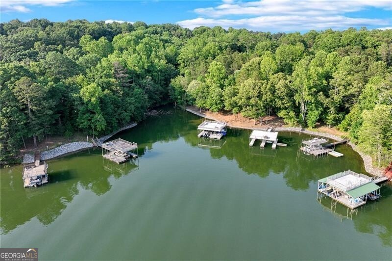 Dawsonville, Georgia 30534, United States, ,Land,Active,145646