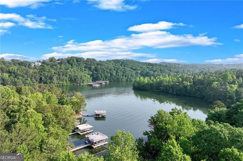 Dawsonville, Georgia 30534, United States, ,Land,Active,145646