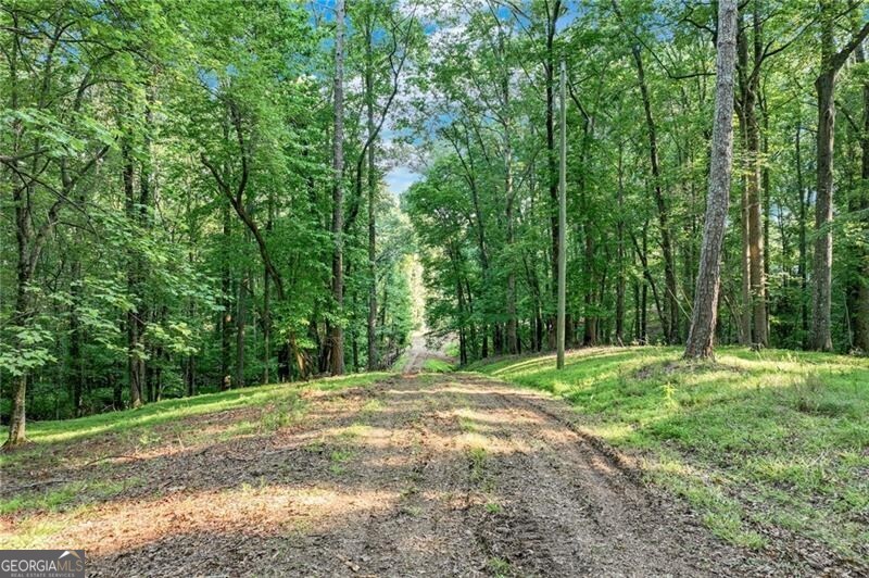 Dawsonville, Georgia 30534, United States, ,Land,Active,145646