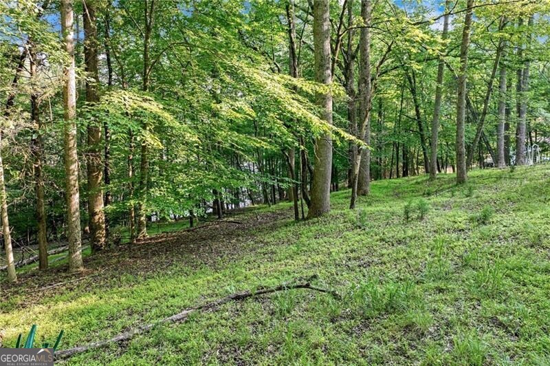 Dawsonville, Georgia 30534, United States, ,Land,Active,145646