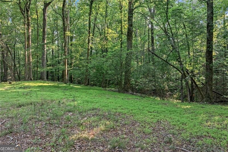 Dawsonville, Georgia 30534, United States, ,Land,Active,145646