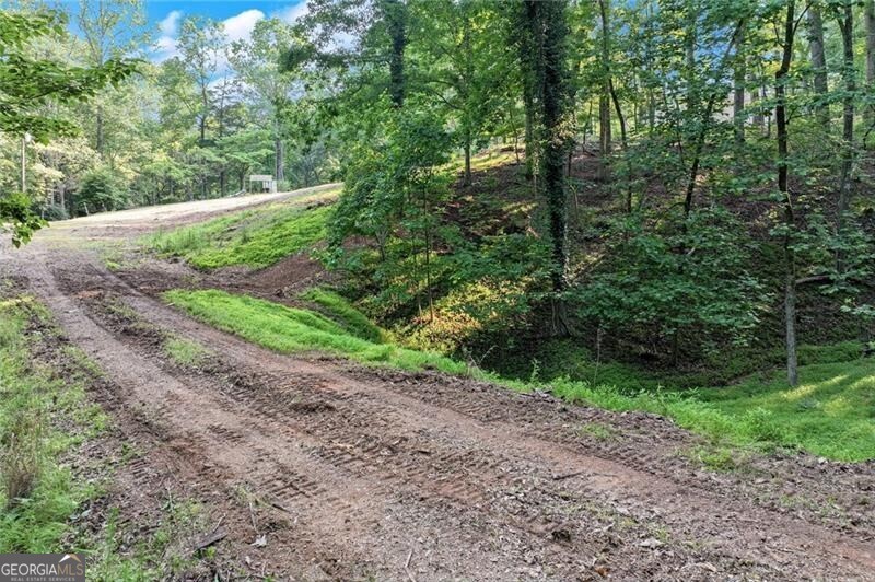 Dawsonville, Georgia 30534, United States, ,Land,Active,145646