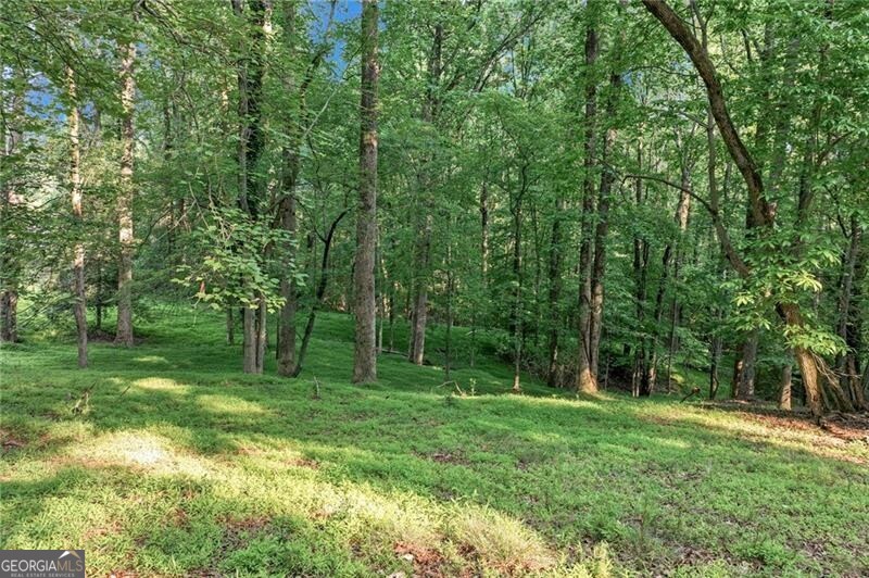 Dawsonville, Georgia 30534, United States, ,Land,Active,145646